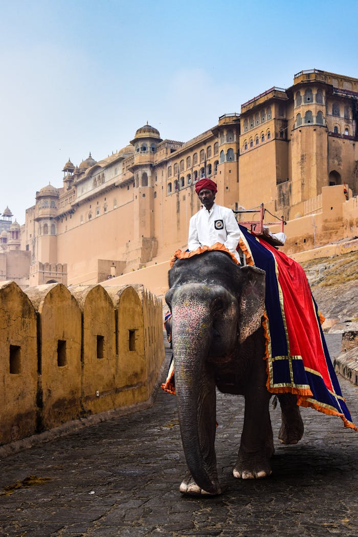An Indian man riding an elephant near Amber Fort in Jaipur, showcasing vibrant cultural heritage.